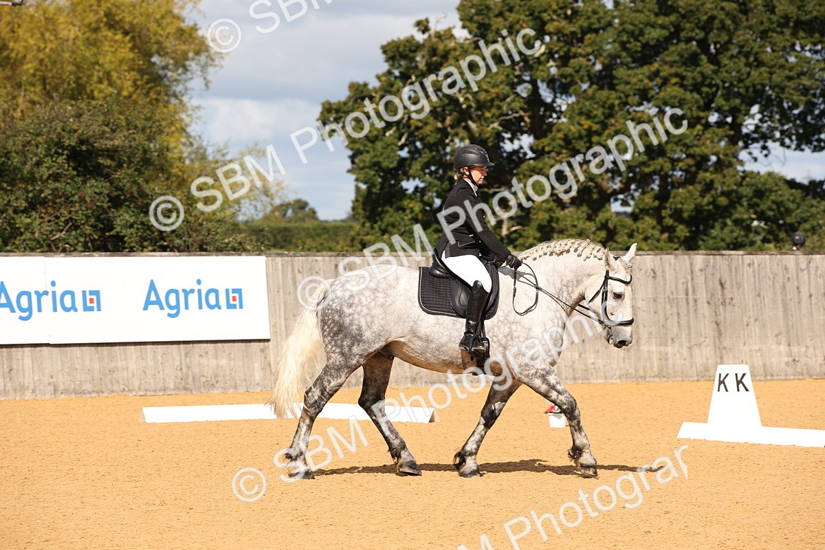 SBM_04288 - D2 Small Tour Championship Intro C