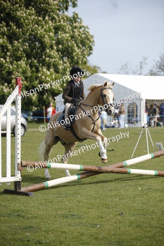 20260426-1205 - Class 2 - Mini Jumping