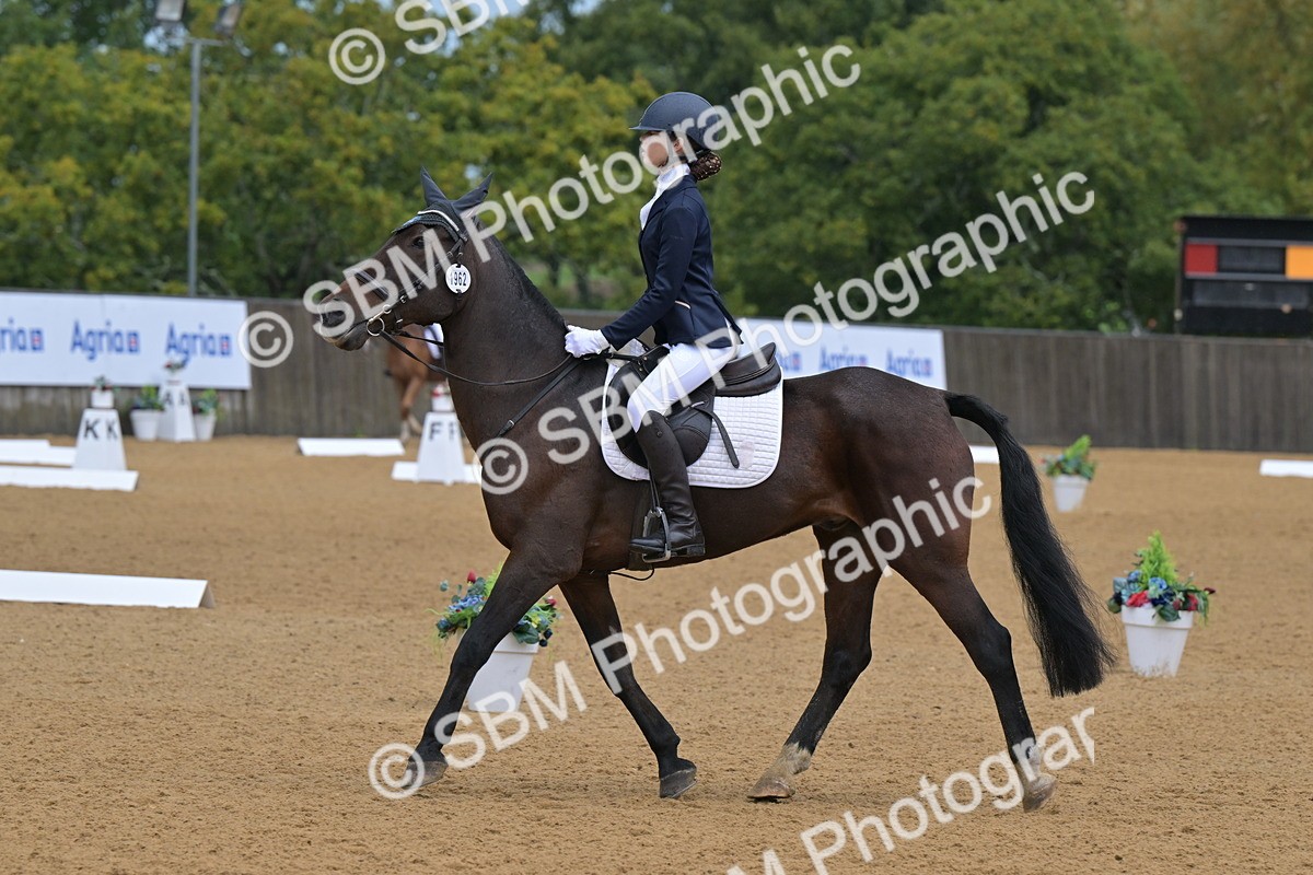 SBM_00472 - D2 - Small Tour Championship Intro 2