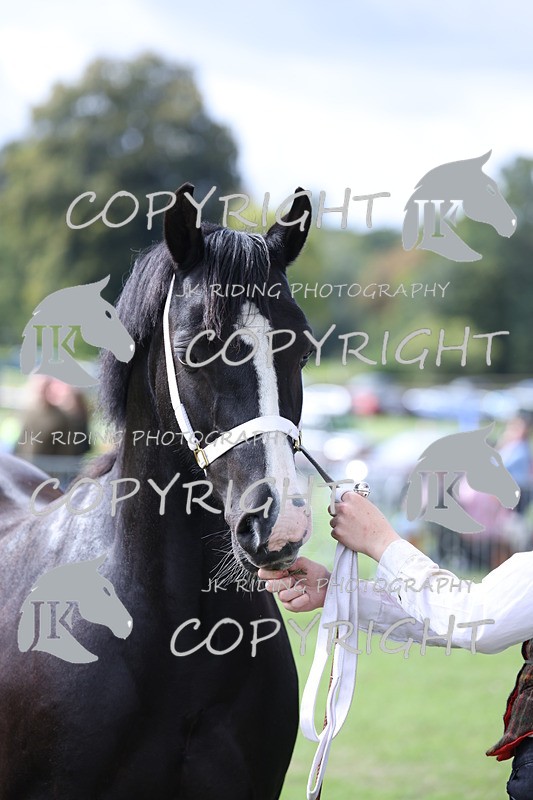 APP_2954 - Class 10a/b M&M in hand