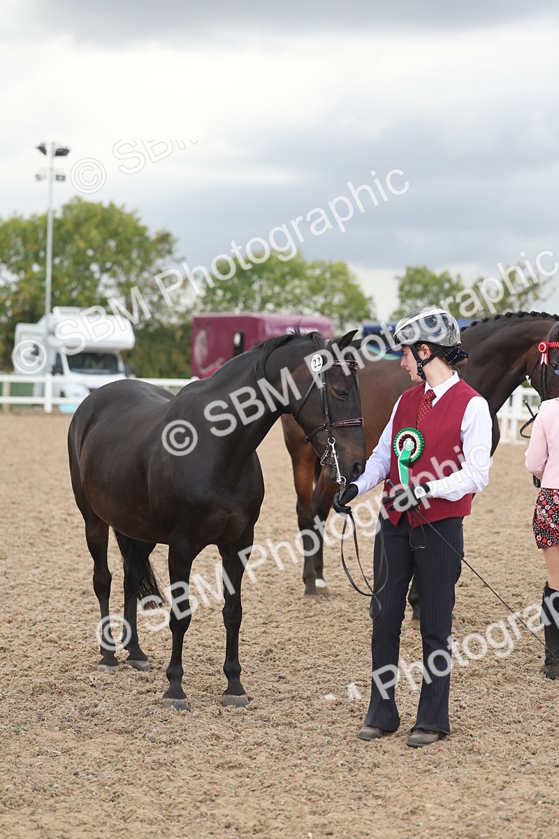 SBM_06920 - Class 25 - IH Foreign Breeds - Purebred