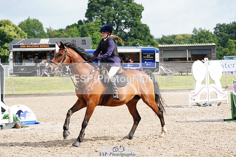 250615A-093420-09875 - Class 43 British Novice 90cm Open