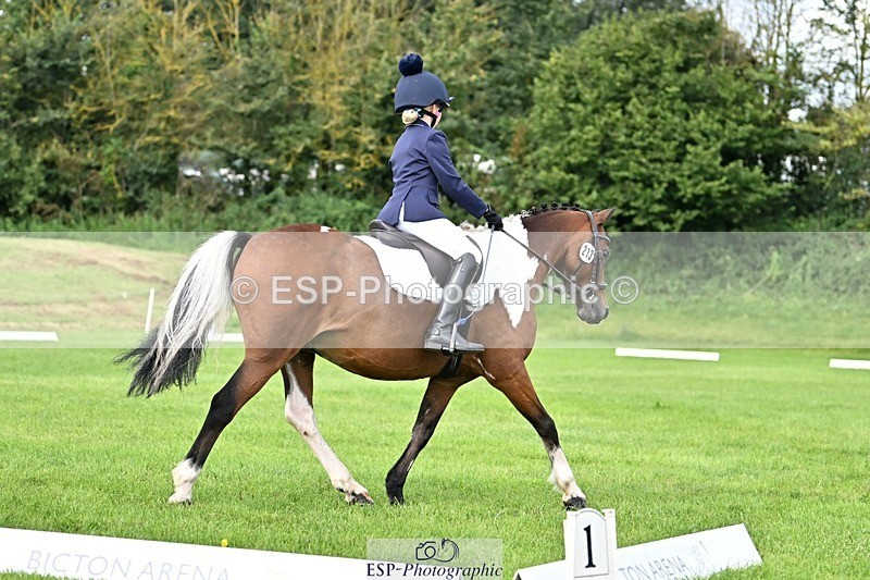 230826-102749-16532 - Sections A & B 10 to End