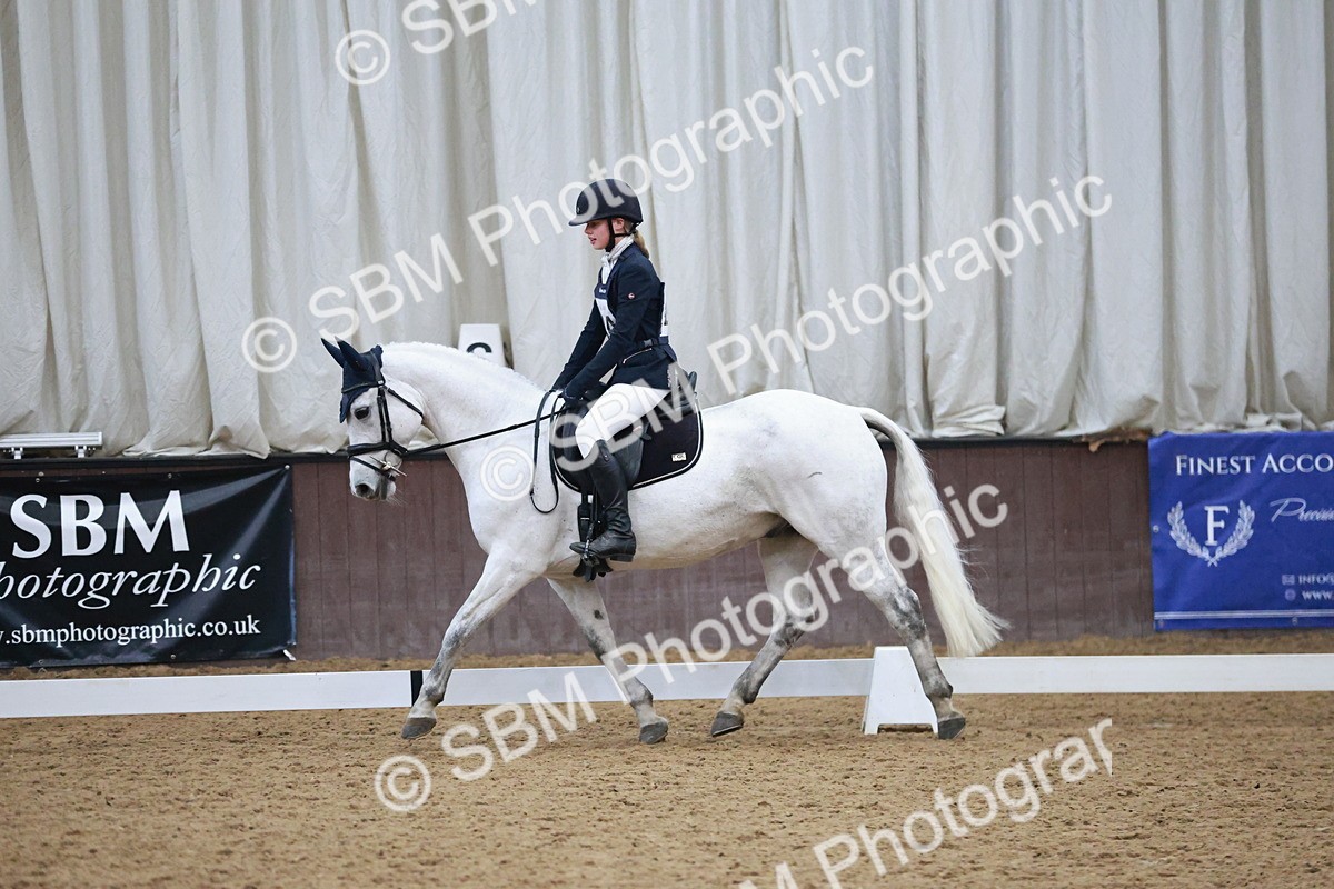 SBM_004581 - Ring 3 - International -  Working Hunter Classes 23-2-25