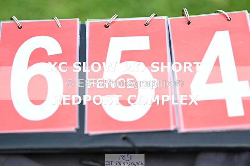 ESP_654 - H-654-Philippa.Skelton