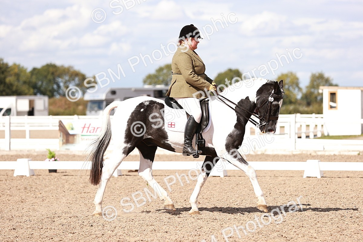 SBM_06619 - Class 39 - Medium 3