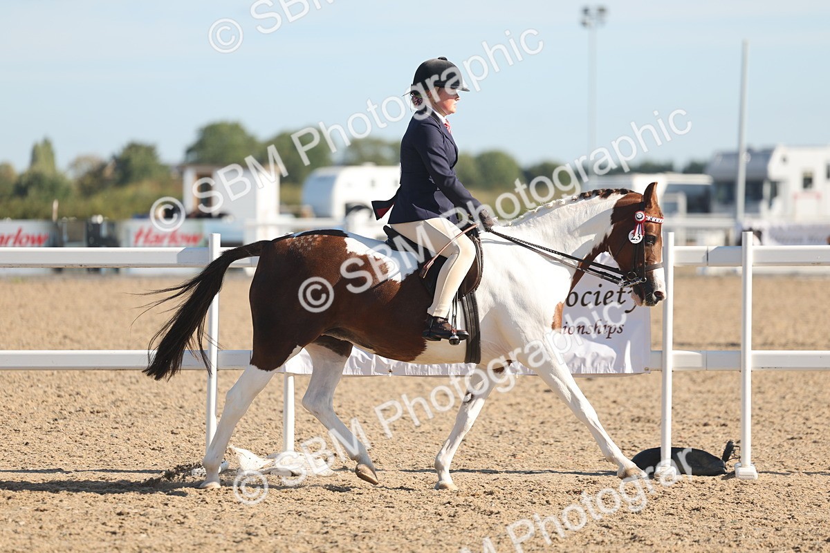 SBM_12293 - Class 304 - Ridden part Bred Horse Pony