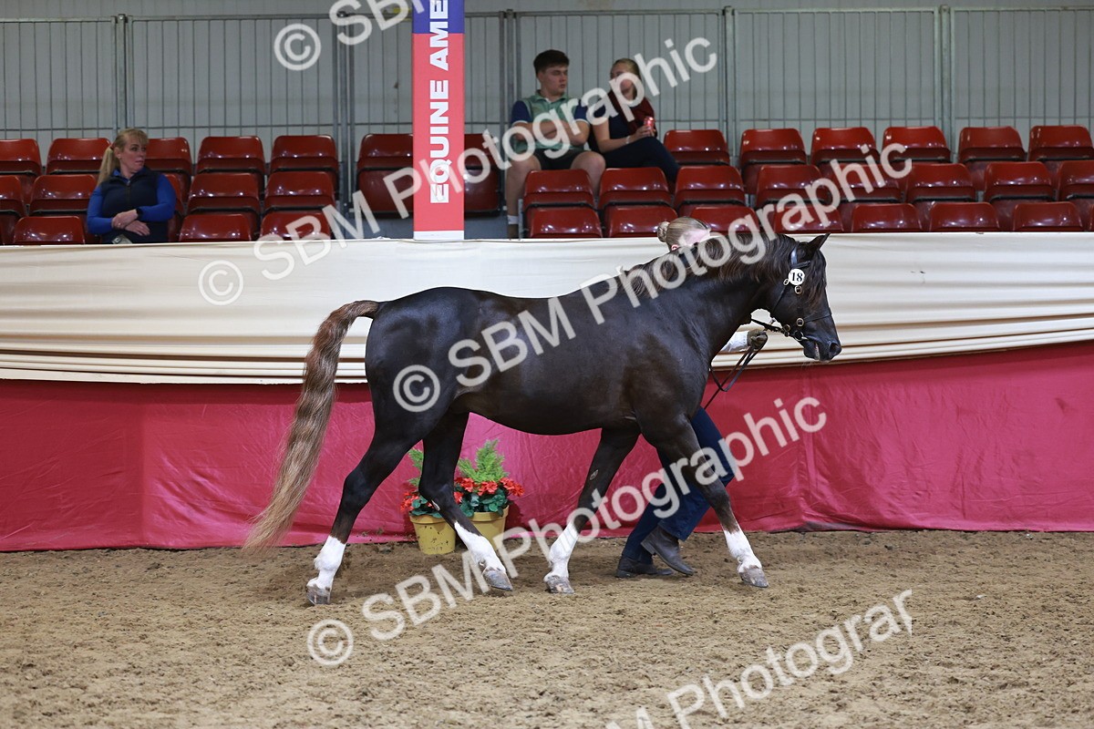 SBM_17443 - Class 951 - M&M IH Supreme Final