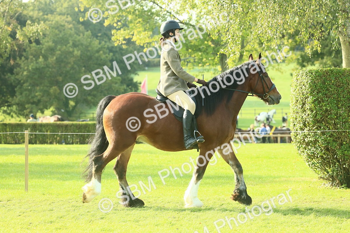 SBM_59314 - S38 - Starters Ridden Showing