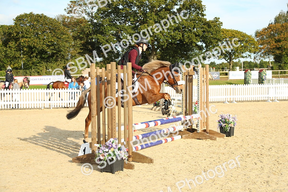 SBM_53564 - J8 - Junior Pony 65cm Championship