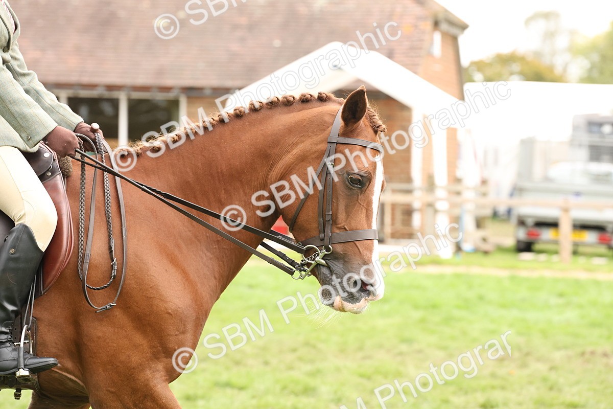 SBM_66380 - S66 - Hunter Ridden