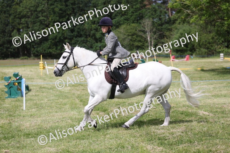 20260614-0548 - Class 20 - Beginners Working Hunter Pony