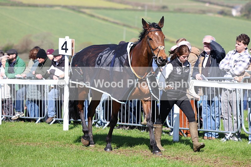 3E7A5292 - Race 4:  Maiden