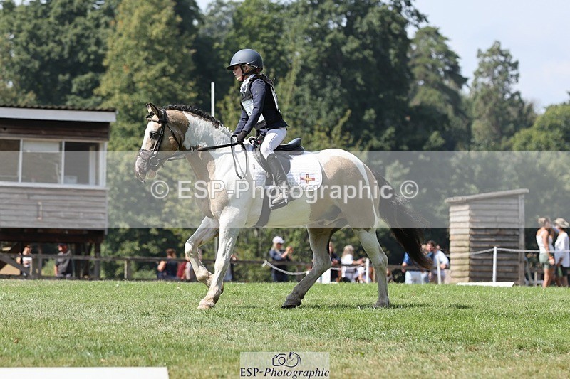 250823A-133642-31339 - Arena D