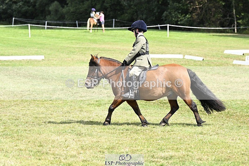 250822A-115644-22452 - DR 11.00 to 12.00