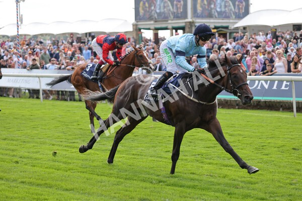 yr18082021r2-20 - Race 2 2.25pm Tattersalls Acomb Stakes