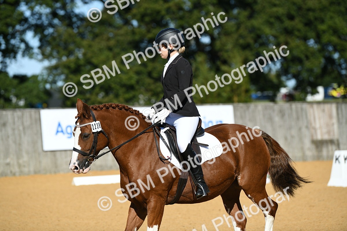 SBM_18027 - D4 - Small Tour Championship - Intro B