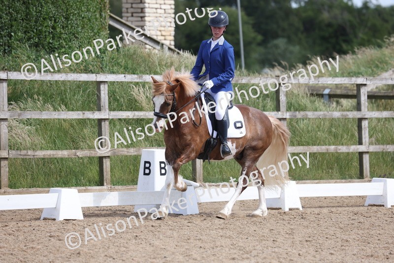 20250614-1334 - Class 6 - Elementary 1