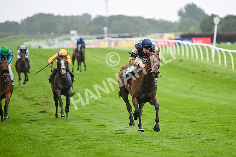 230725-Race 5-Bosphorus Rose-0457 - Race 5