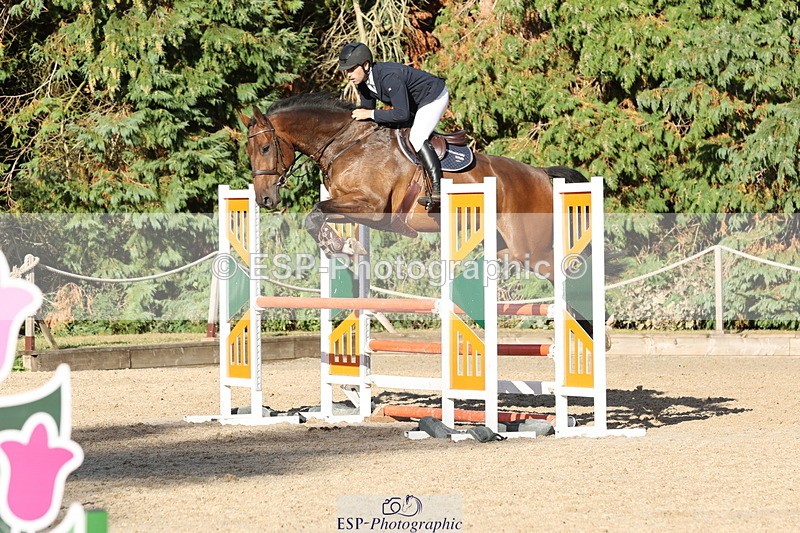 250829A-175503-03503 - Cls 11 5 Year Old Quali