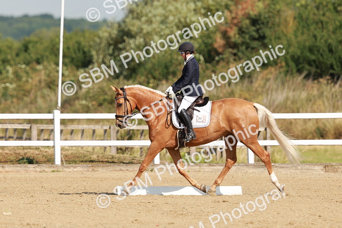 SBM_021086 - Class 12 - P6