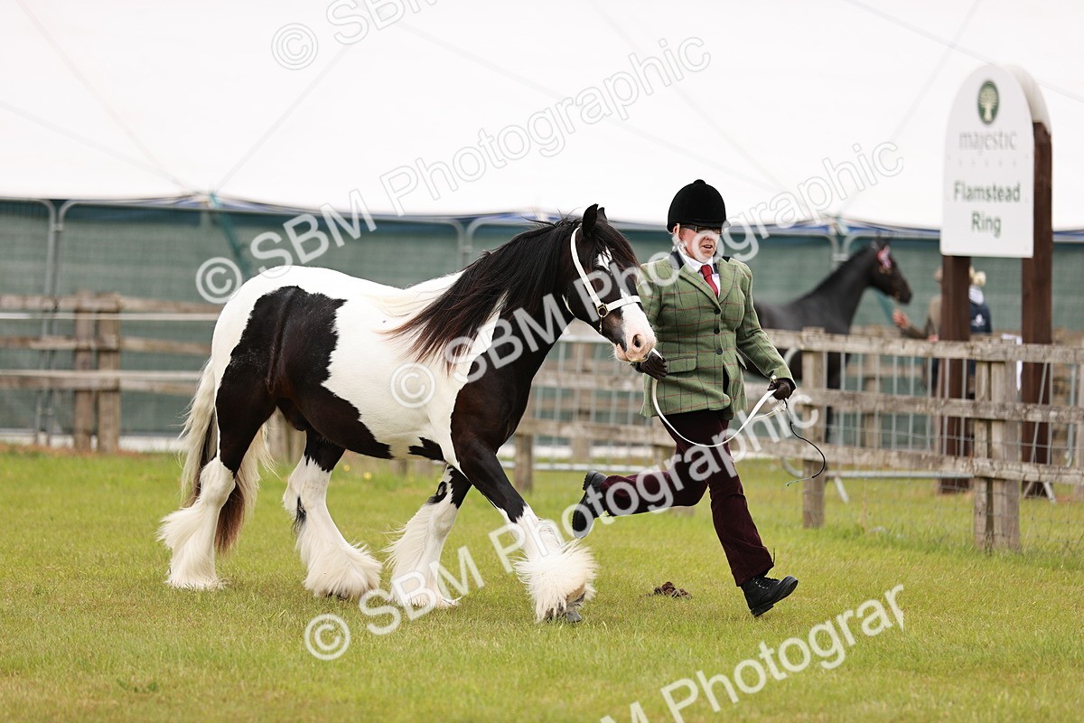 SBM_05958 - Class 39-41 TGCA In Hand and Ridden