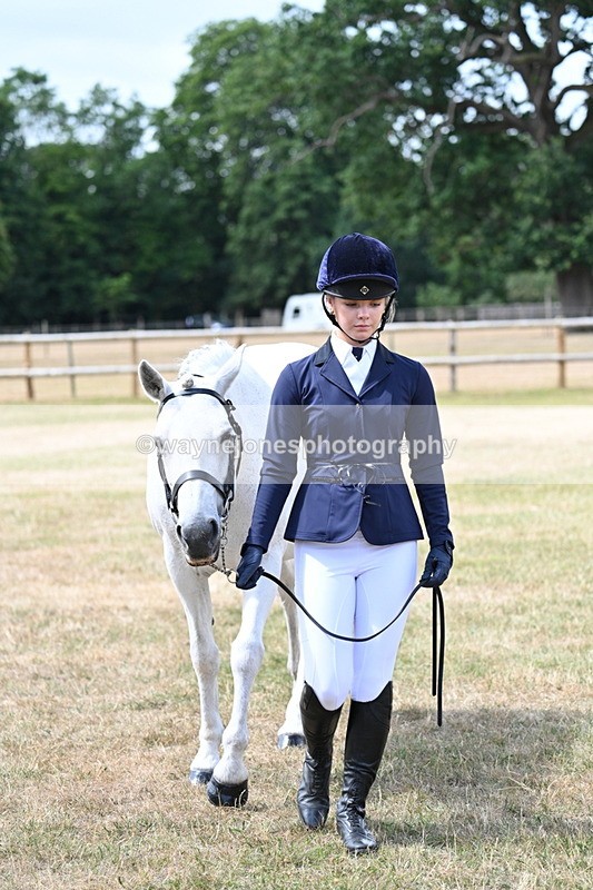 WJ7_1593 - Class 4 Prettiest Mare up to 14.2hh in hand