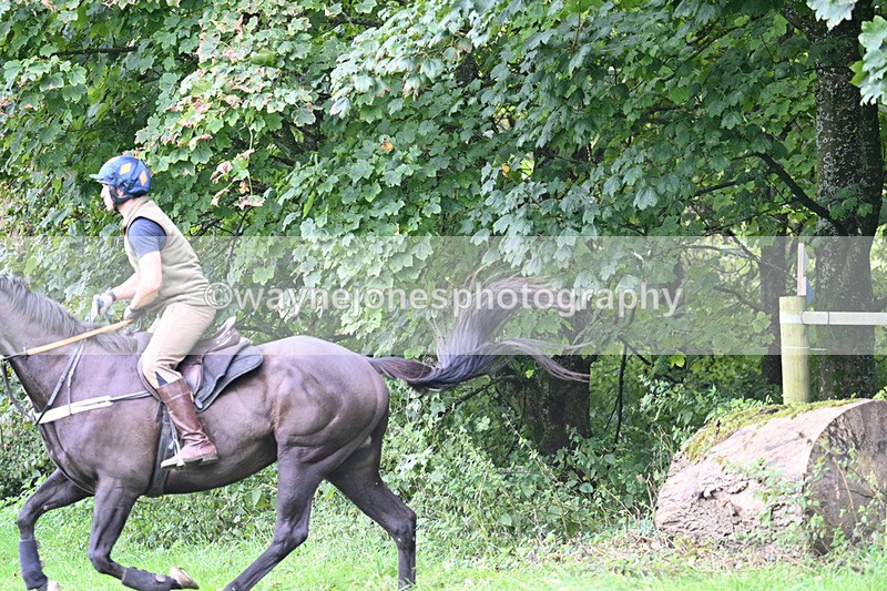 WJ7_8112 - Time 14:11 to 14:30