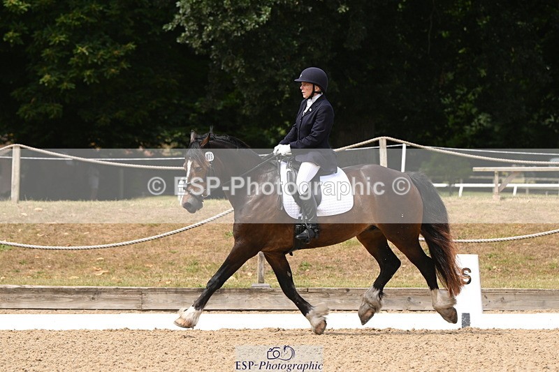 250720A-115653-10086 - 079-Amanda.Williams-Llanarth.Westminster