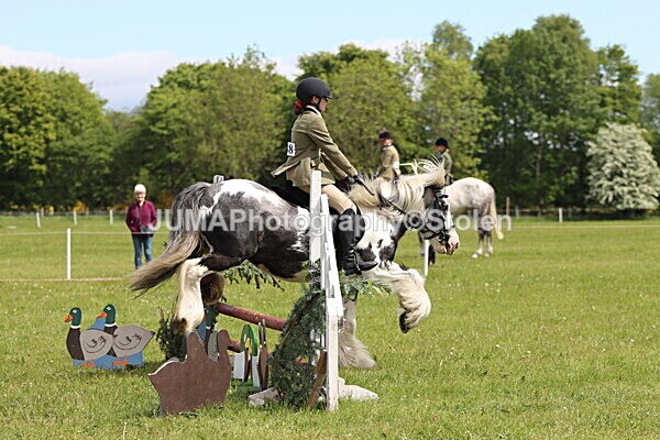 IMG_3180 - Working Hunter