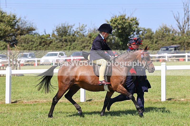 IMG_2202 - Class 36: Part Bred Ridden M & M