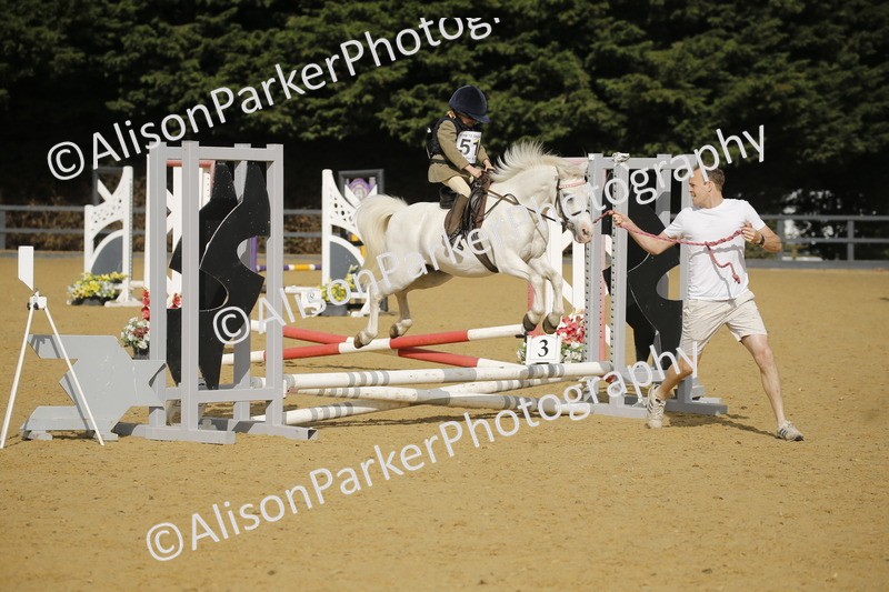 20250622-1274 - 40cm