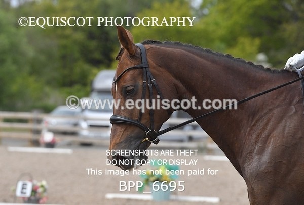 BPP_6695 - 33 N BAXTER