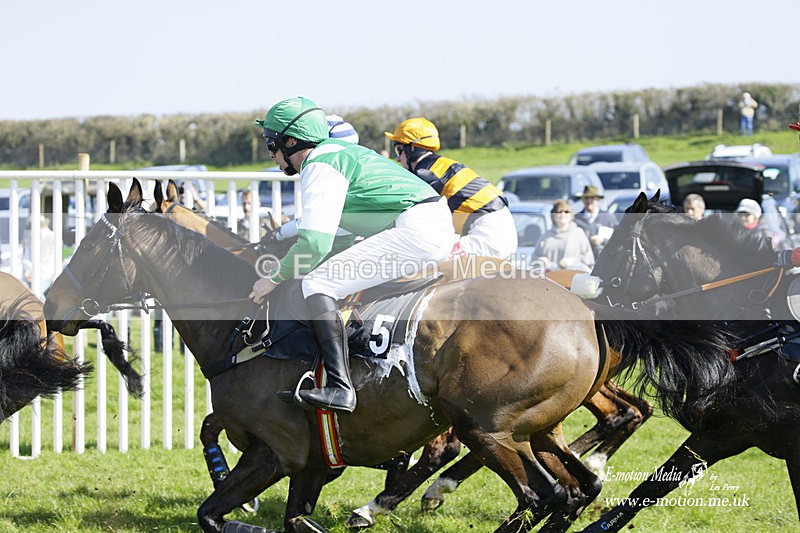 PtP 190322 204 - Wilton Hunt PtP Milborne St Andrew 19/03/22