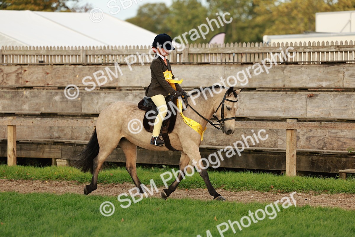 SBM_28922 - S7 - Novice & Newcomer Ridden Pony