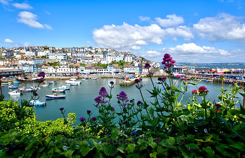 BX39 - Brixham Harbour View - Greetings Cards Brixham Broadsands and Kingswear
