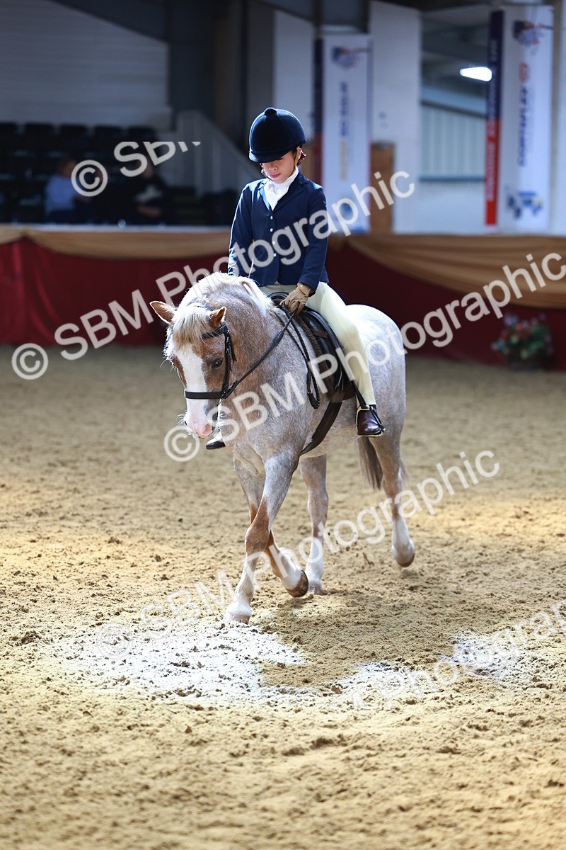 SBM_23937 - Class 905 - Supreme Final - Ridden Veteran