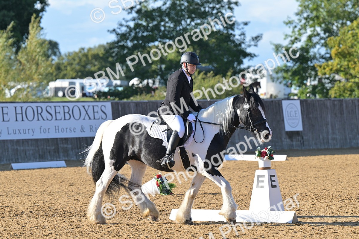 SBM_13035 - D3 - Small Tour Championship Intro 3