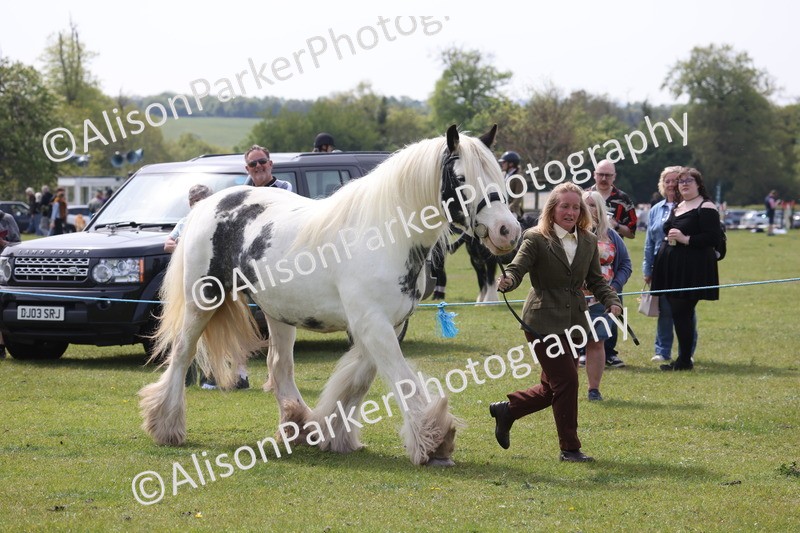 20260426-3326 - Class 27 - Coloured Horses and Ponies