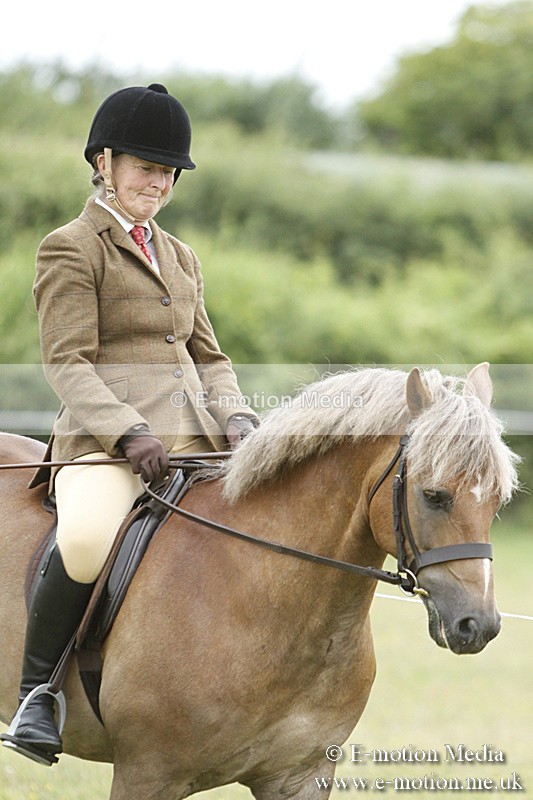 BVR160717-146 - Ring 3 BVRC Show 16/07/17