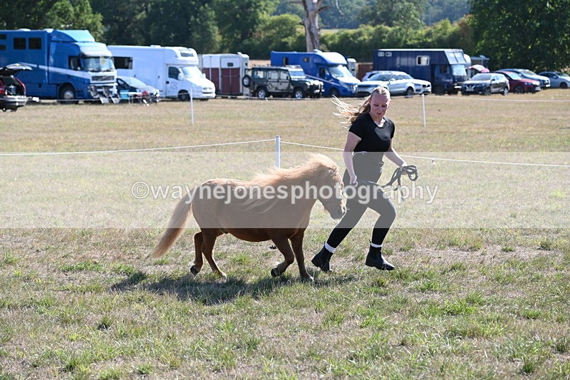 WJ6_7276 - Class 33 Rescue Pony