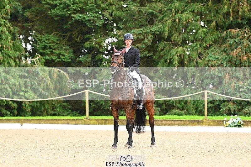 231020-144628-10352 - 210-TREGARON-Gubby.Leech-DR