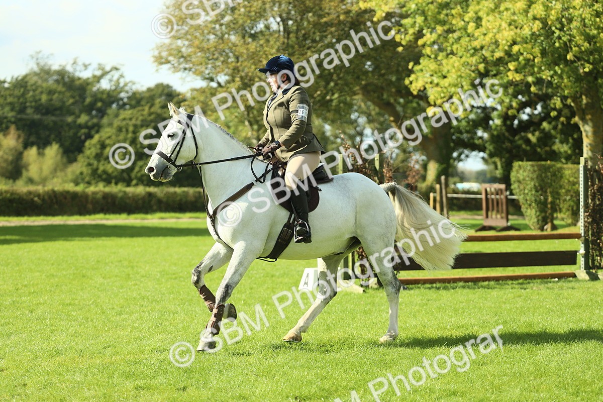 SBM_48058 - S32 - Novice & Newcomers Working Hunter