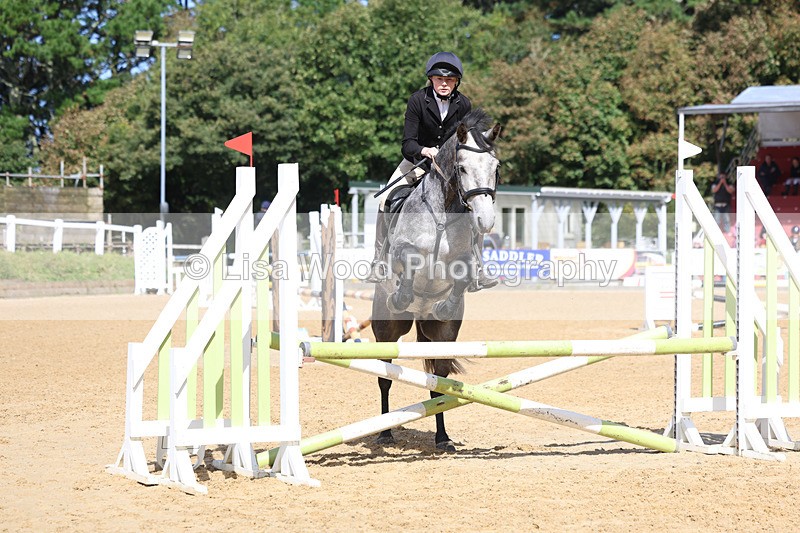 3E7A8943 - Class 8: 80cm Senior