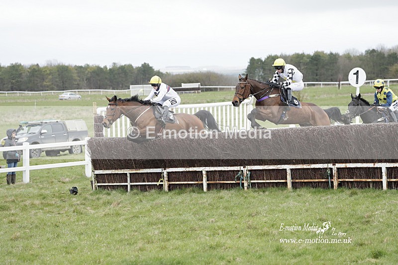 PtP 260323 0802 - New Forest Hounds Point-to-Point Larkhill 26/03/23