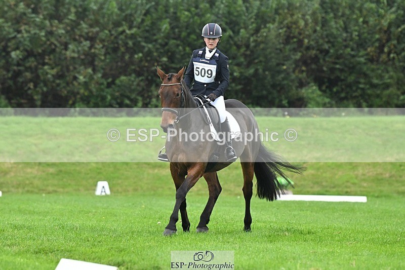 241024-114404-03300 - 509-Tichy.Sanders-SPARHANGER.VELVET