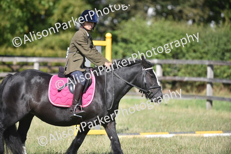 20260906-1009 - Class 7 - Absolute Novice Jumping 35cm