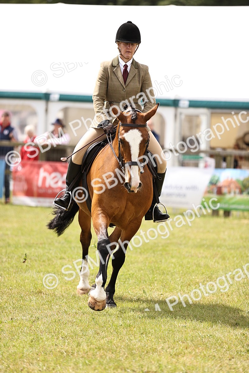 SBM_14568 - Class 88-89 - LIHS BSHA Rising Star of Ridden Hunter Type