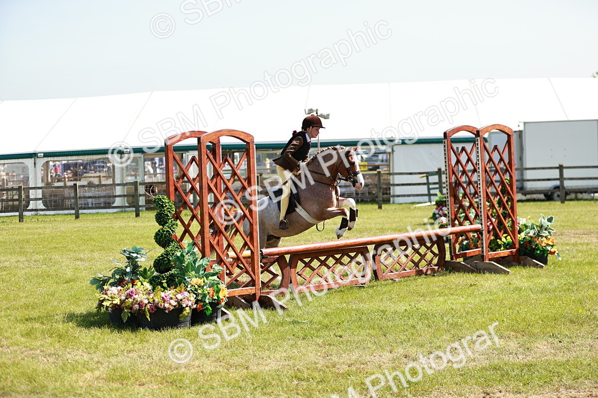 SBM_13507 - Class 108-109 - BSPS LIHS Open Gradle & Nursery Stakes