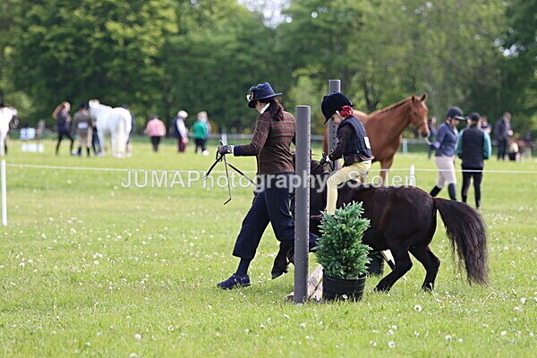 IMG_2143 - Working Hunter